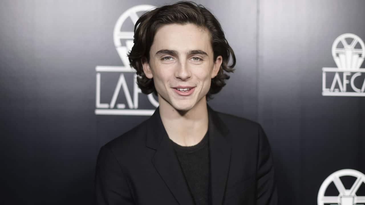 Actor Timothee Chalamet.