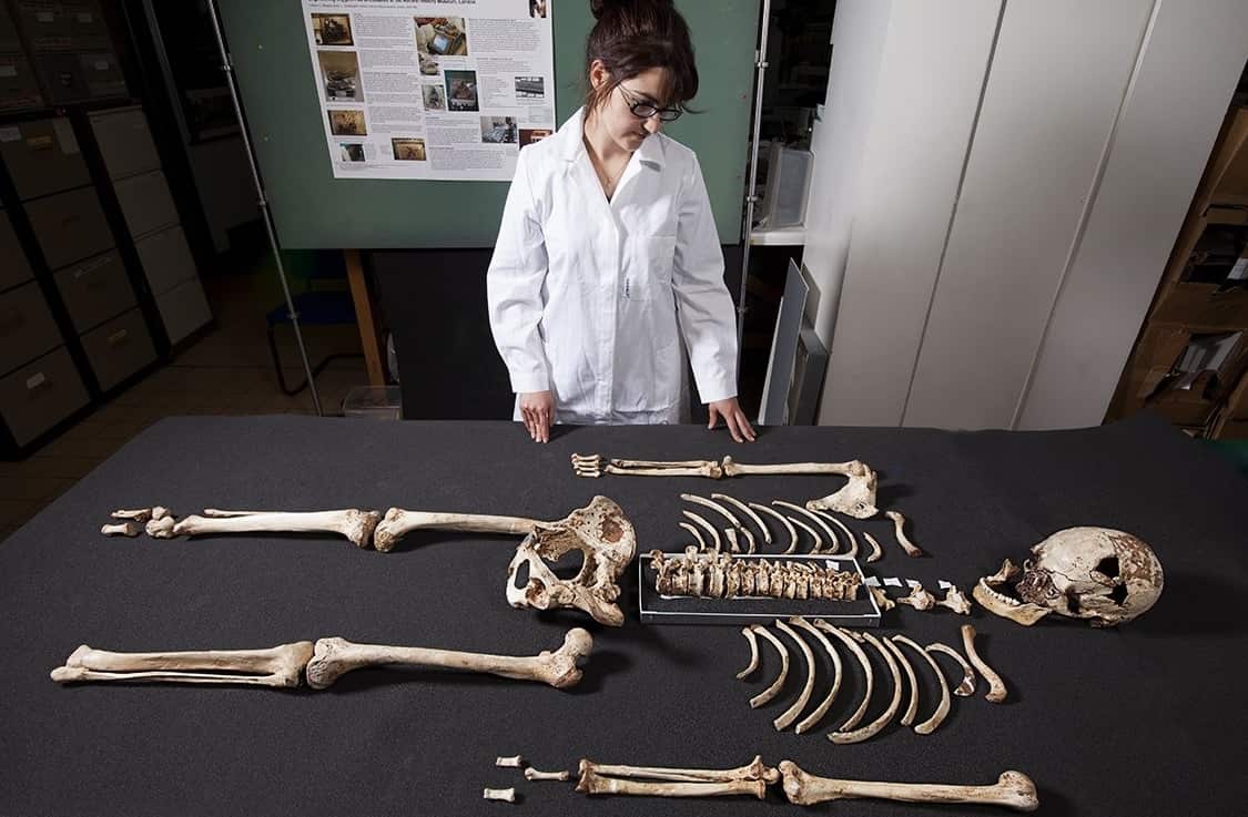 Photo made available on 07 February 2018 by the London Natural History Museum showing the skeleton of Cheddar Man on 28 January 2018.