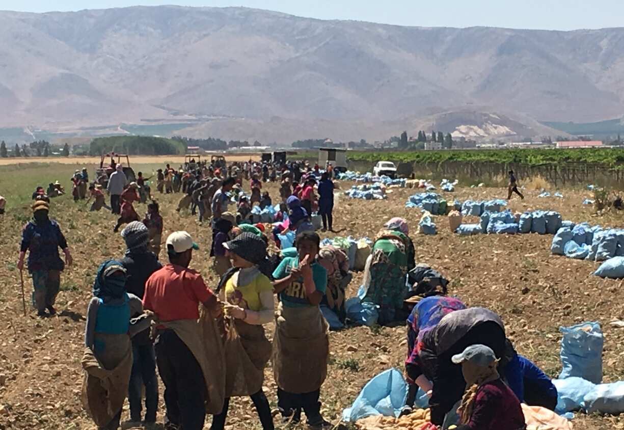 Workers in the valley (SBS)