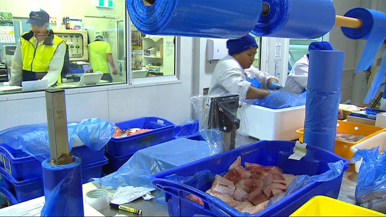 Staff at Melbourne business Clamms Seafood.
