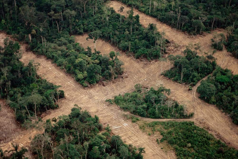 Undated handout photo issued by WWF of an aerial view over the rainforest showing transect deforestation in Manaus, Amazonas, Brazil. 