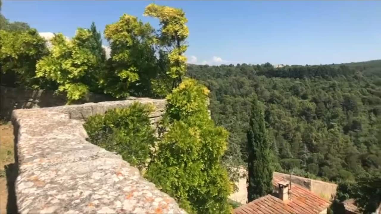 A screenshot from a video of the ledge in France where he fell