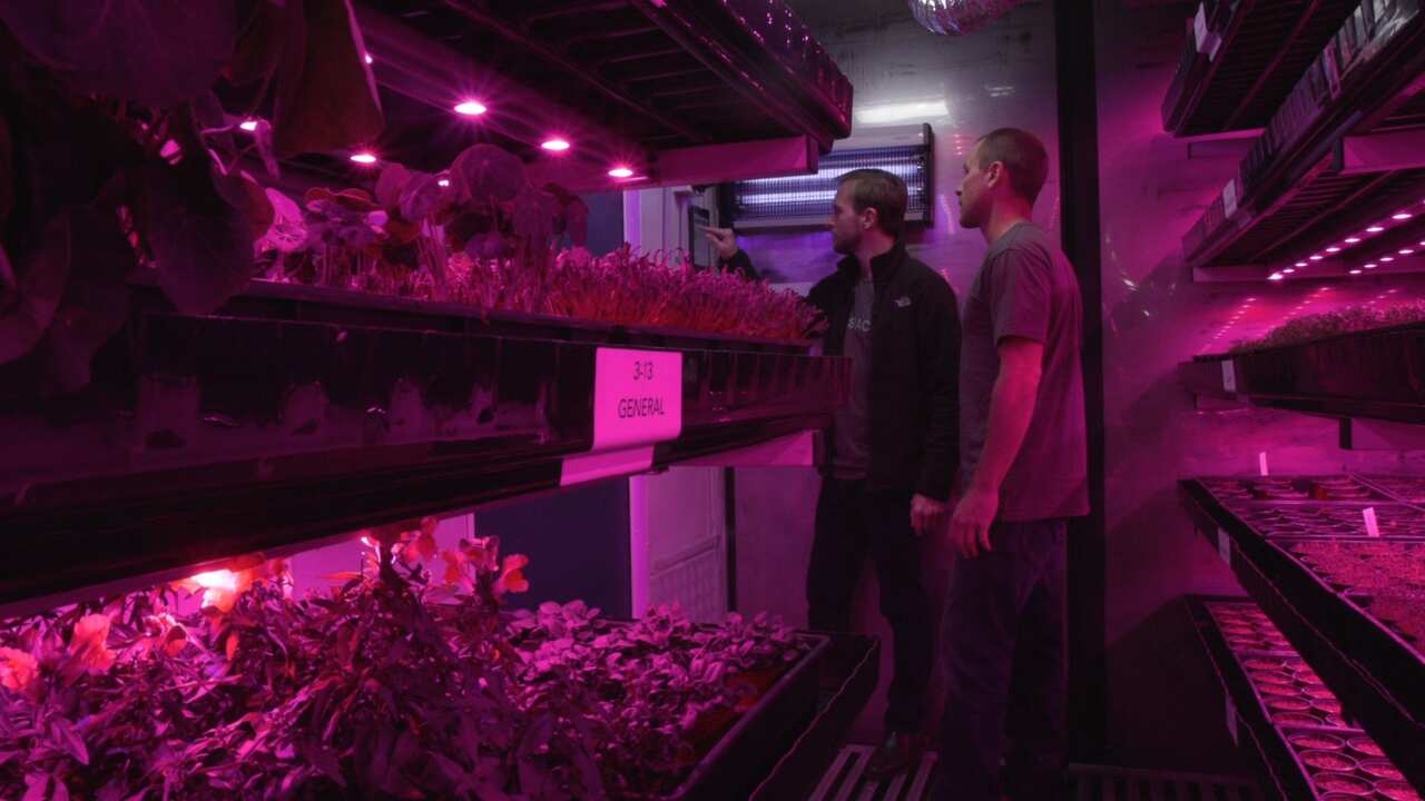 Sprout Stack co-founders Francisco Caffarena and Michael Harder