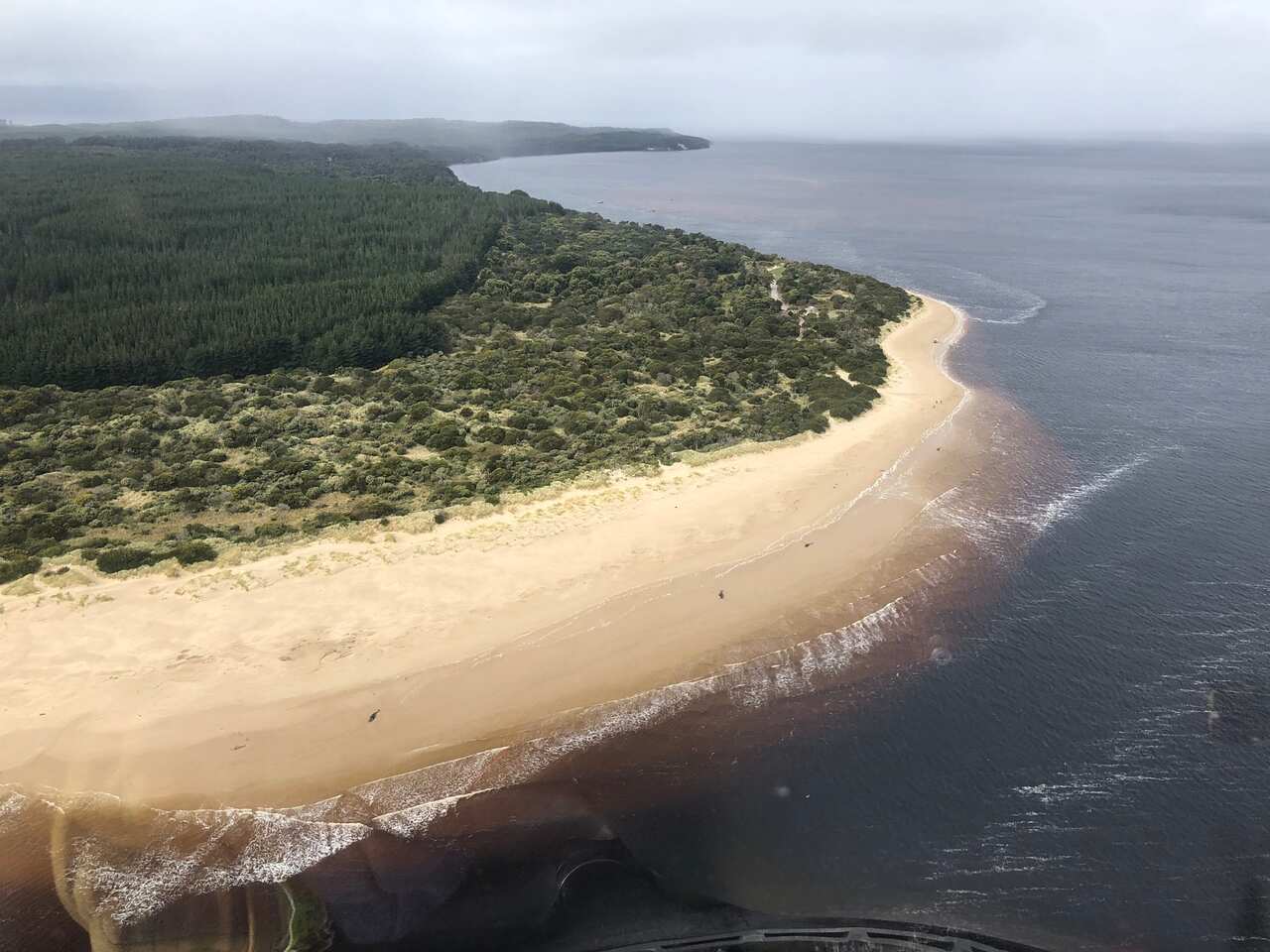 Numerous stranded whales along the coastline near the remote west coast town of Strahan on the island state of Tasmania.