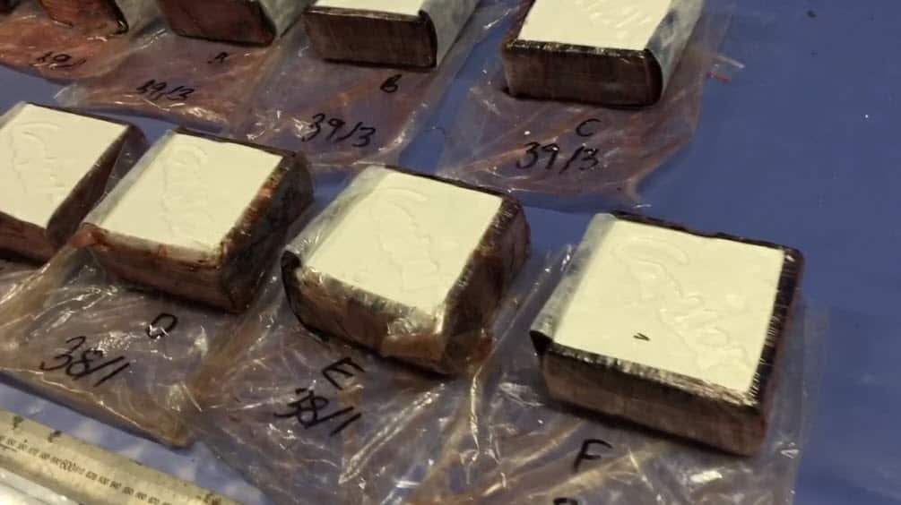 The Canberra businessman was extradited from Serbia over alleged links to an international cocaine ring. 