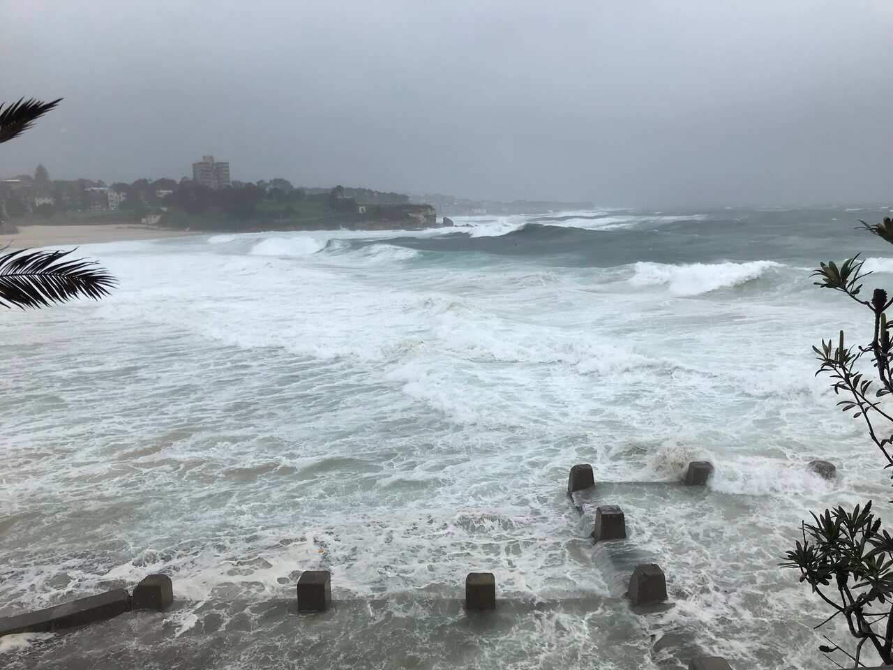 Coogee Beach, swell