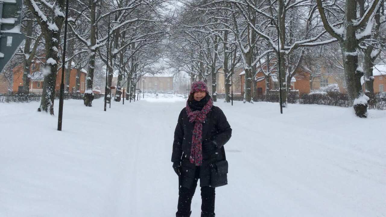 Dual Australian-Swedish citizen Elizabeth Hammarlund-Lorenzsonn has been separated from her husband for almost a year. 