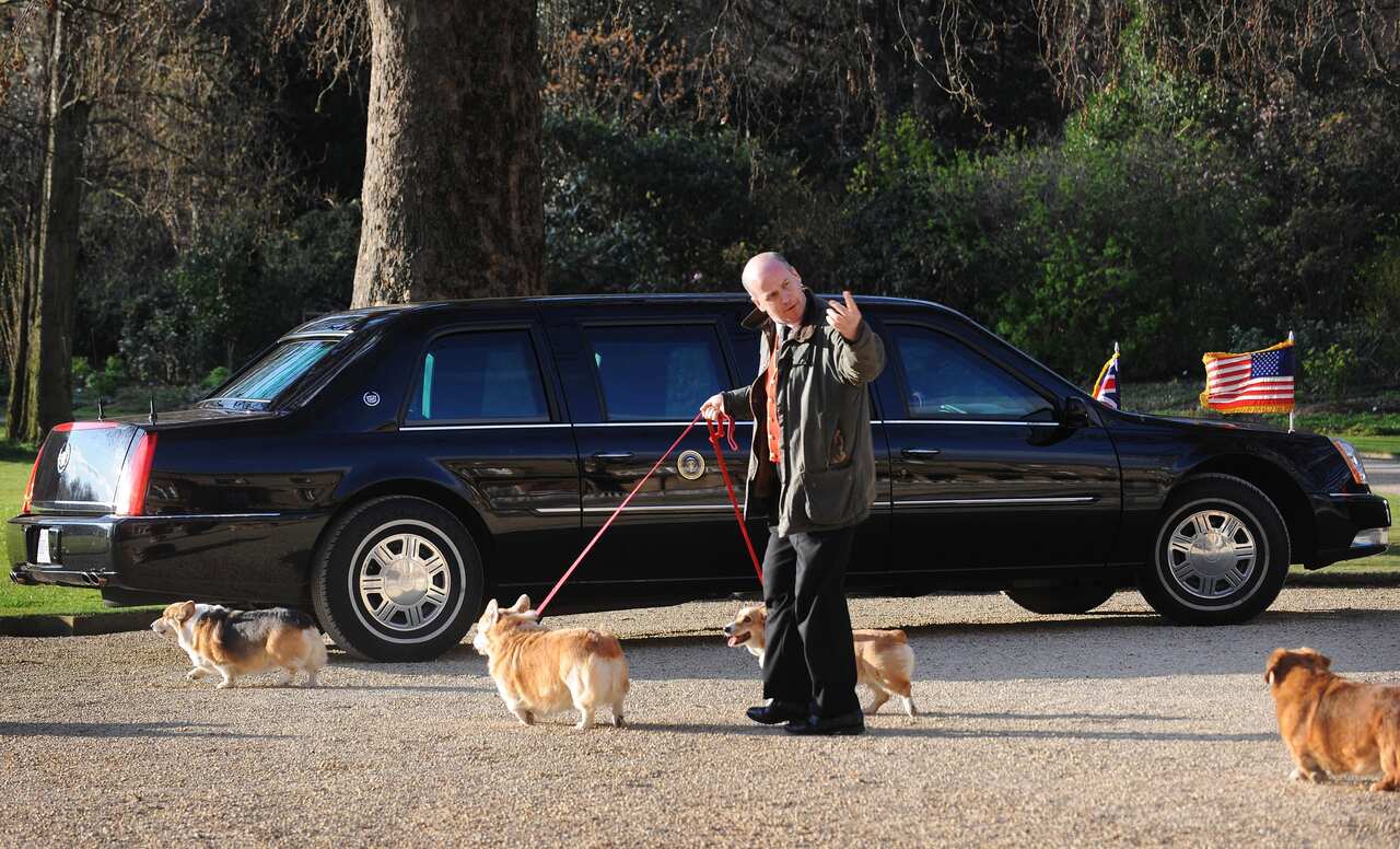 Corgis pass US President Barack Obama's car parked on the grounds of Buckingham Palace (Getty)