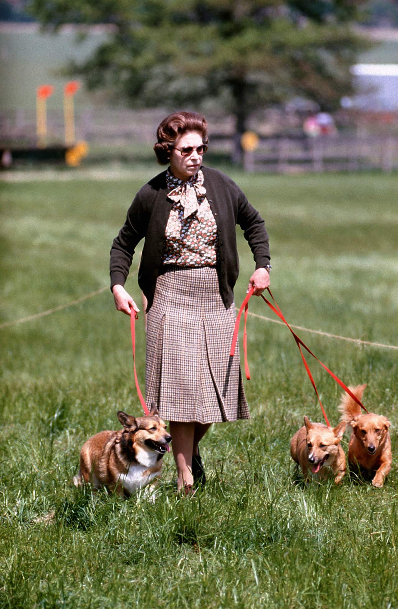 Queen Elizabeth II walking some of her corgis (Getty)