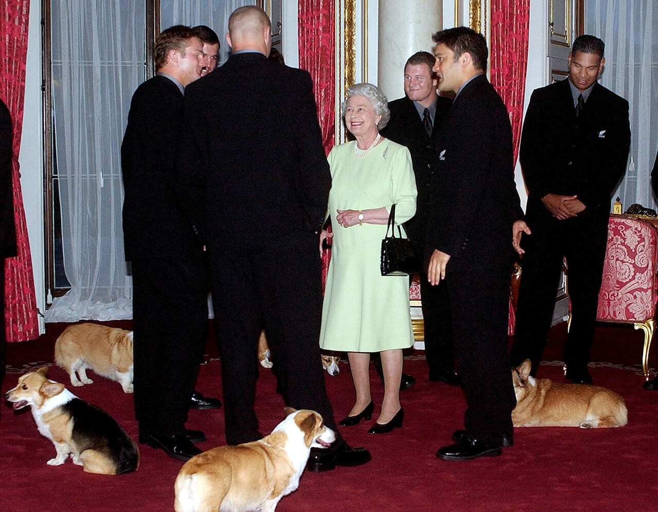 Queen Elizabeth II with her Corgis and members of the All Blacks (Getty/AFP)