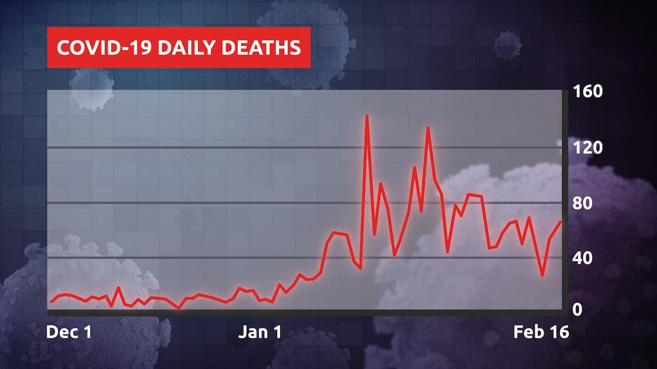 Australia's daily COVID-19 deaths since the Omicron wave began.