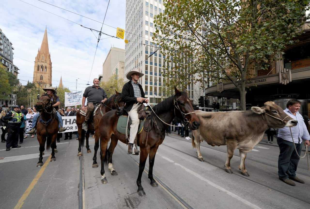 dairy protest