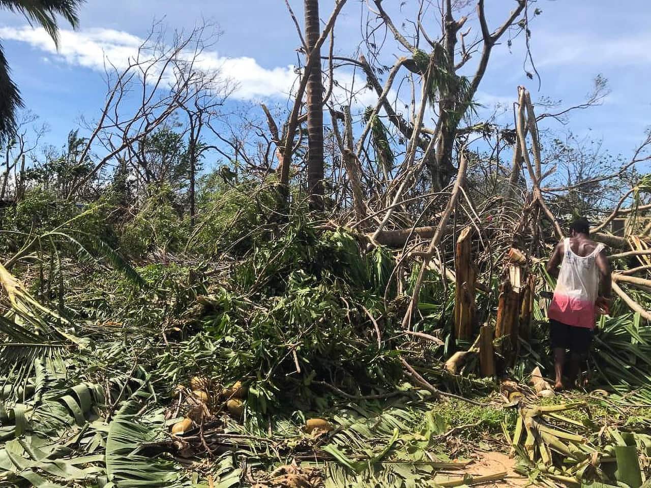 Damage caused by Tropical Cyclone Harold on Santo Island, Vanuatu.  