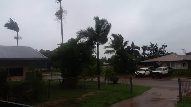 Trees in a cyclone