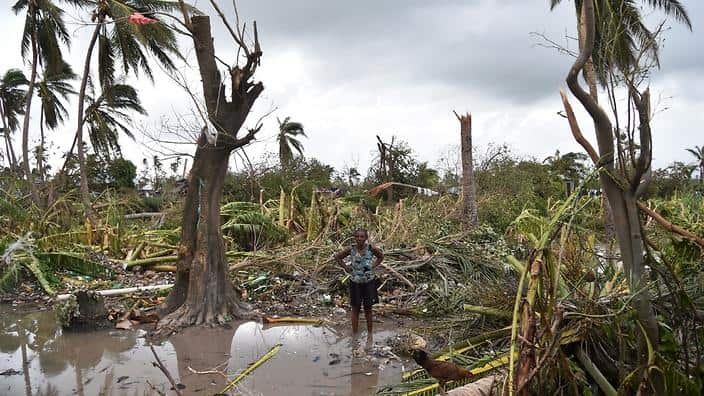 A woman stands in a field of destroyed trees after the passing of Hurricane Matthew, in Sous Roche in Les Cayes, in Southwest Haiti, on October 6, 2016.