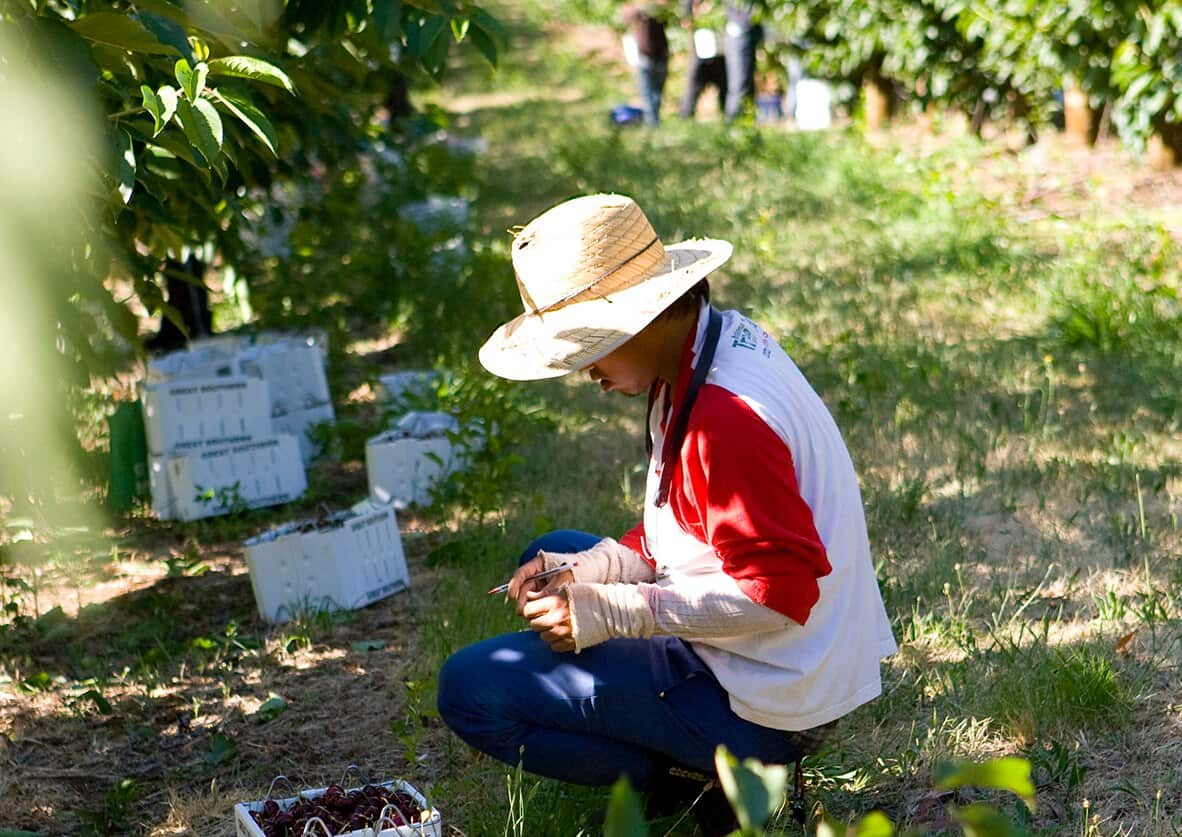 A person working on a farm.
