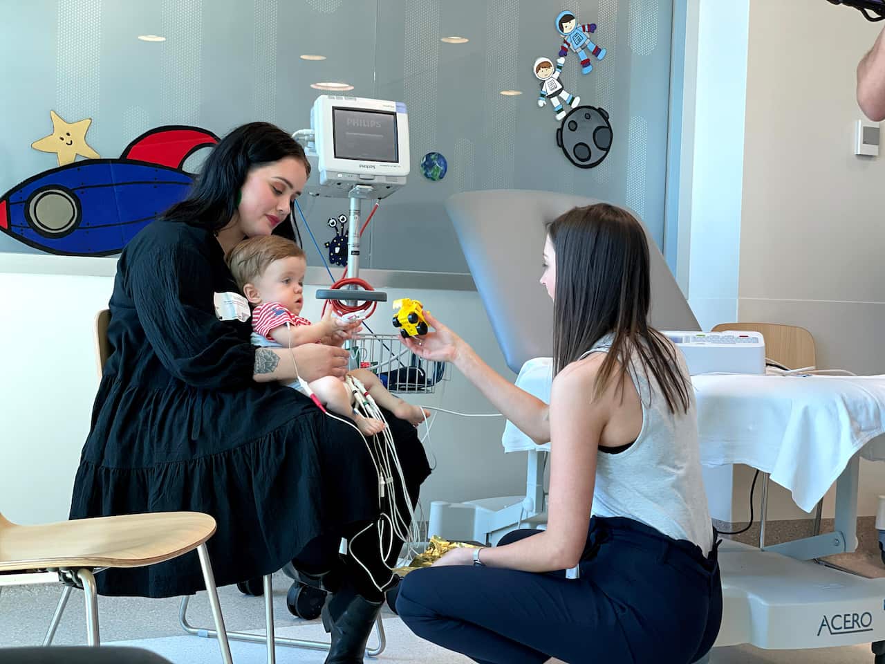  Daisy and Casper at trial appointment