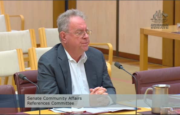 The Australia Institute's David Richardson before the Parliamentary inquiry.