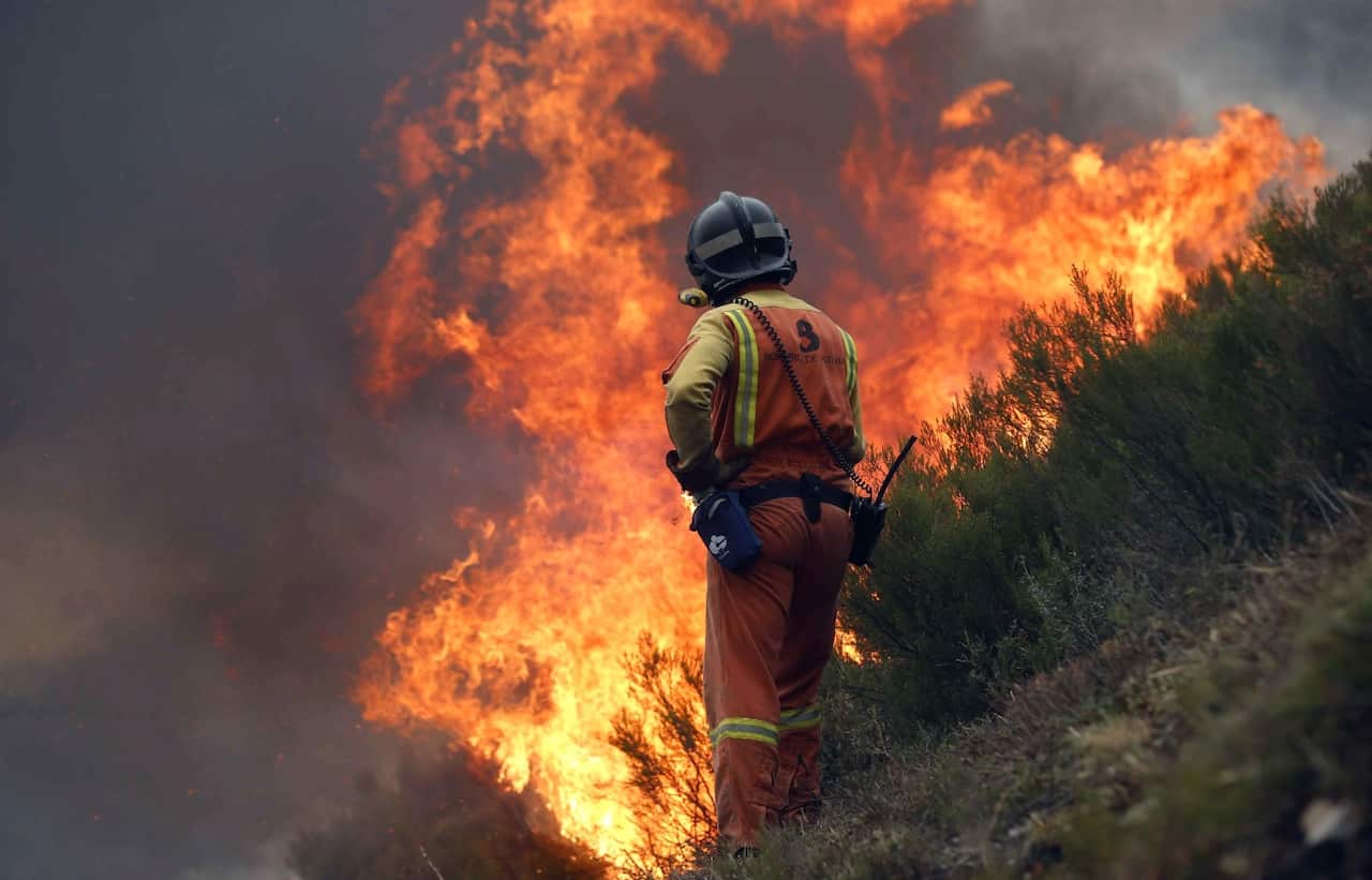 A fireman works to extinguish a forest fire in Oviedo, Asturias, northern Spain, 16 October 2017 (AAP)