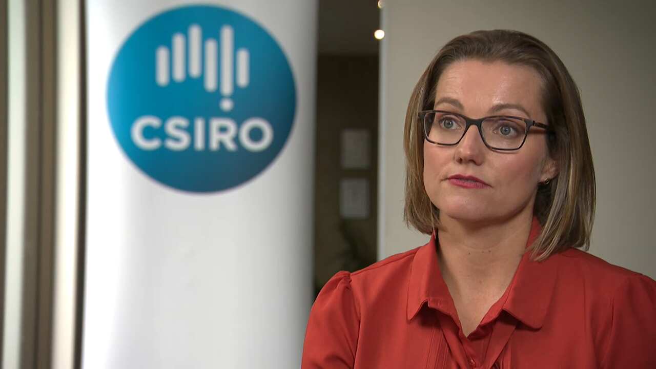 The CSIRO's research scientist Dr Gilly Hendrie.
