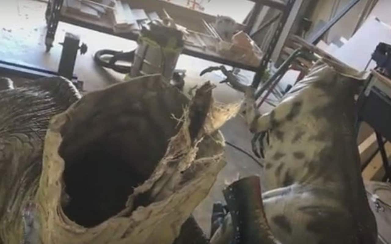 The headless velociraptors were discovered by museum vistors on Sunday morning. 