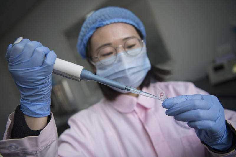 The sex of a baby is determined by its chromosome make-up at conception but that can change depending the levels of SOX9, according to researcher. 