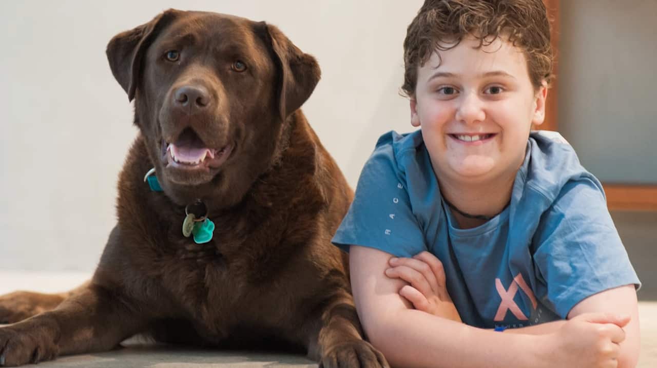 Sonya's dog and boy.