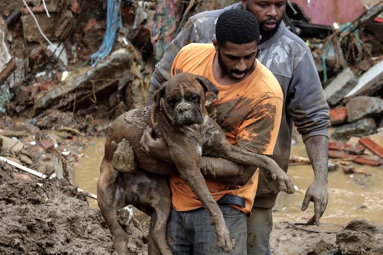 A man rescues a dog amid the damage caused by the heavy rains that affect the city of Petropolis, Brazil.