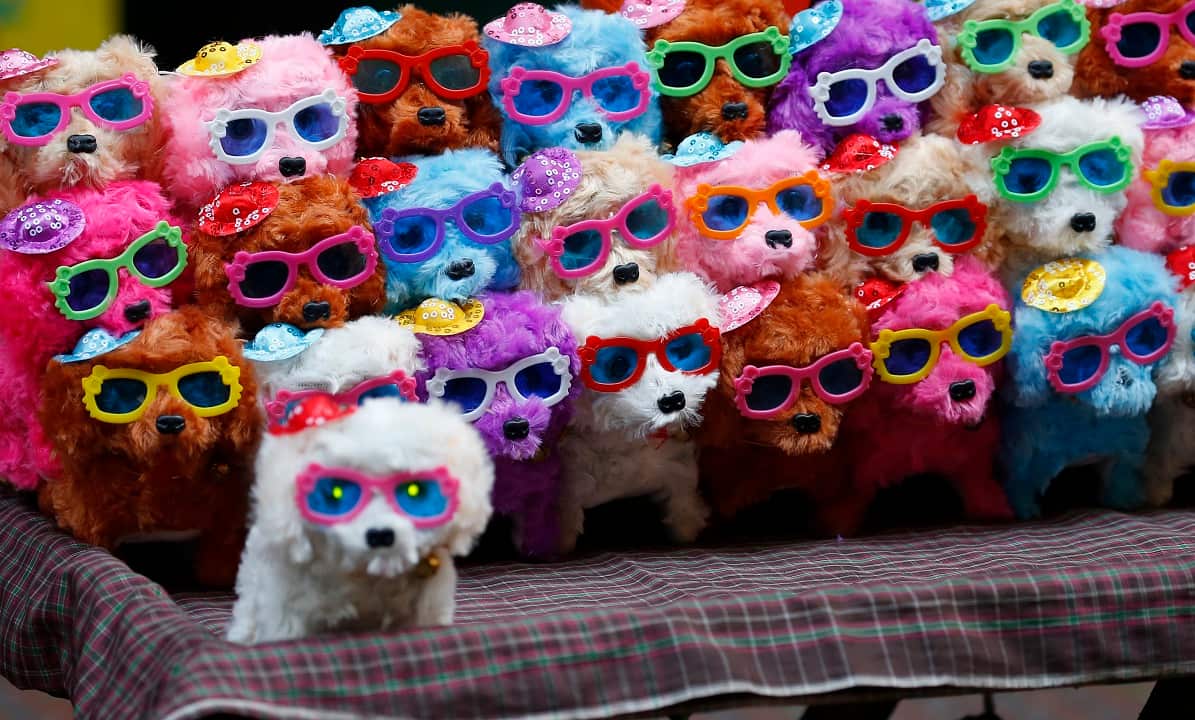 This year is the Year of the Dog according to the Chinese zodiac.