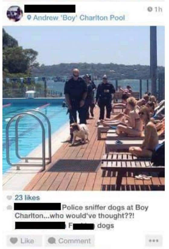 There were police and there was a dog but it had nothing to do with drugs, say NSW Police.