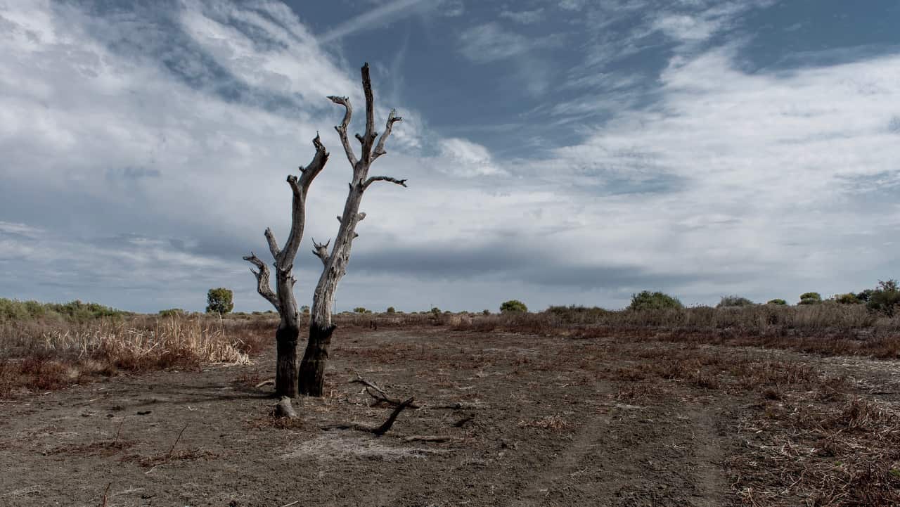 Rain clouds are seen forming just outside the regional NSW town of Harden.