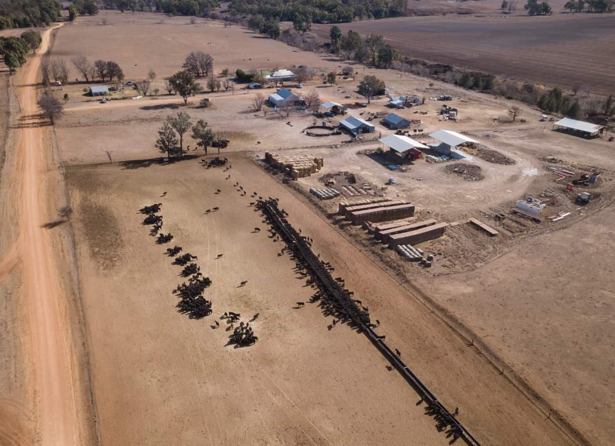 An aerial view of the cattle feeding operation on the property 'Toorawandi' owned by Coonabrabran farmer Ambrose Doolan