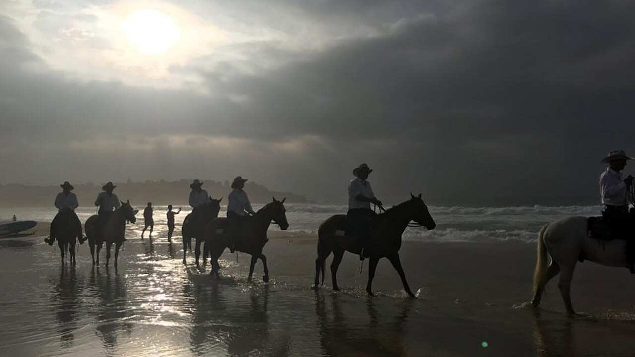 The "Herd of Hope" aims to raise awareness about the health care needs of remote communities.