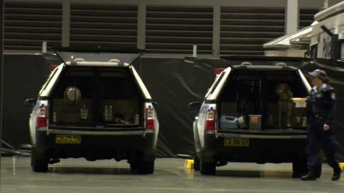 Two drug dogs were used to check for drugs among revellers at the Above & Beyond festival.