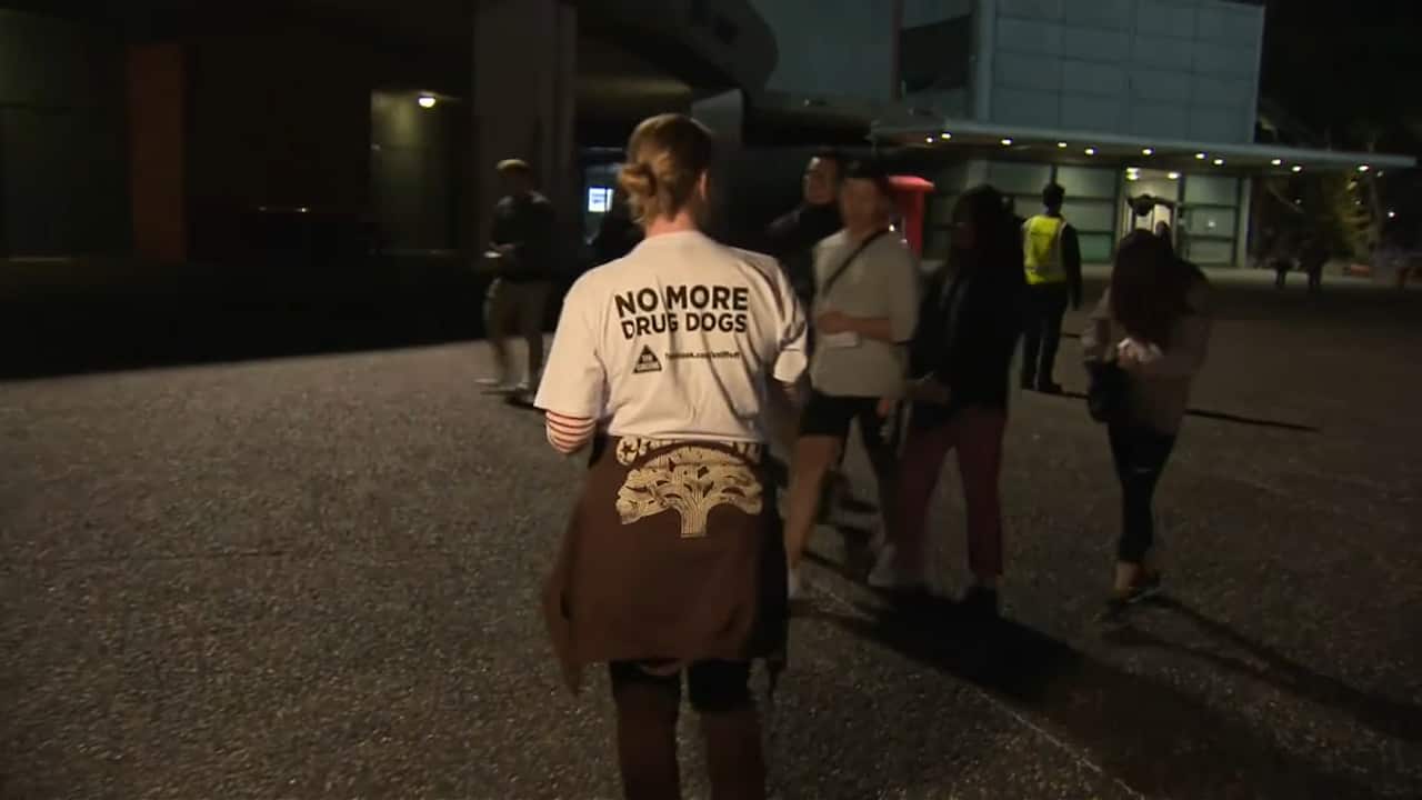 Activists against the sniffer dogs were out in full force at the Sydney music event.