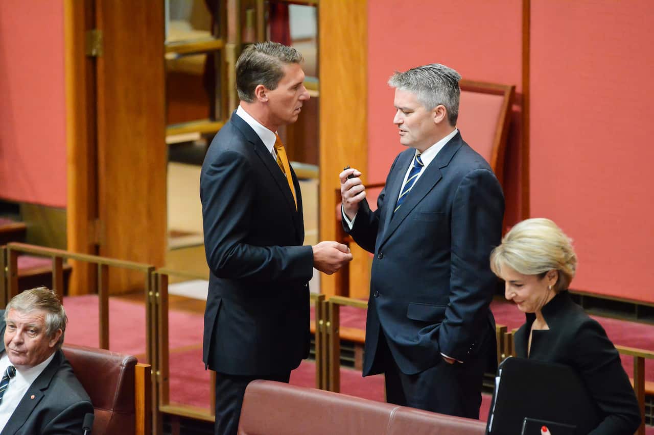 Cory Bernardi in the Senate 