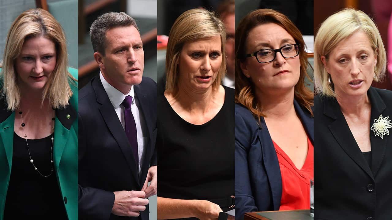 Three Labor MPs and one Independent have resigned over their dual citizenship status, just hours after the High Court ruled Labor's Katy Gallagher was invalid.