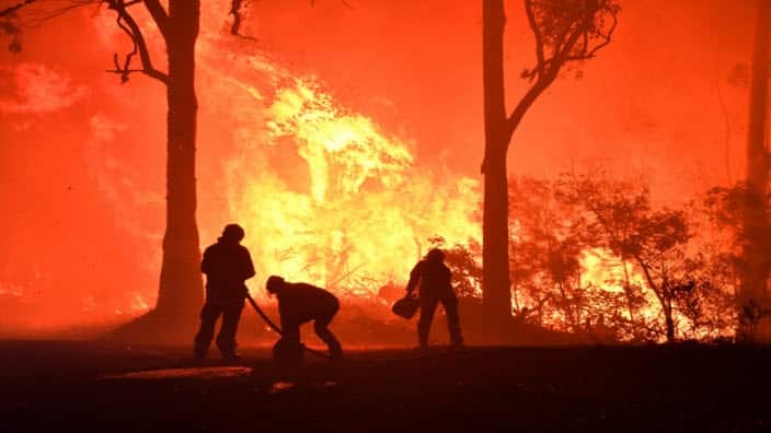 Bushfires continue to ravage the country. Here's how you can help. 