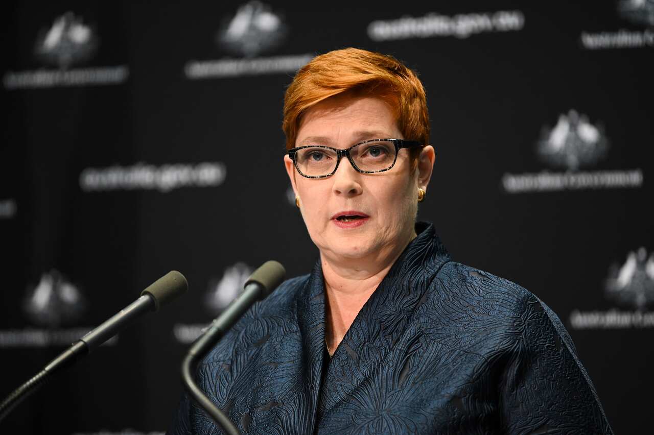 Foreign Minister Marise Payne speaks to the media during a press conference at Parliament House in Canberra.
