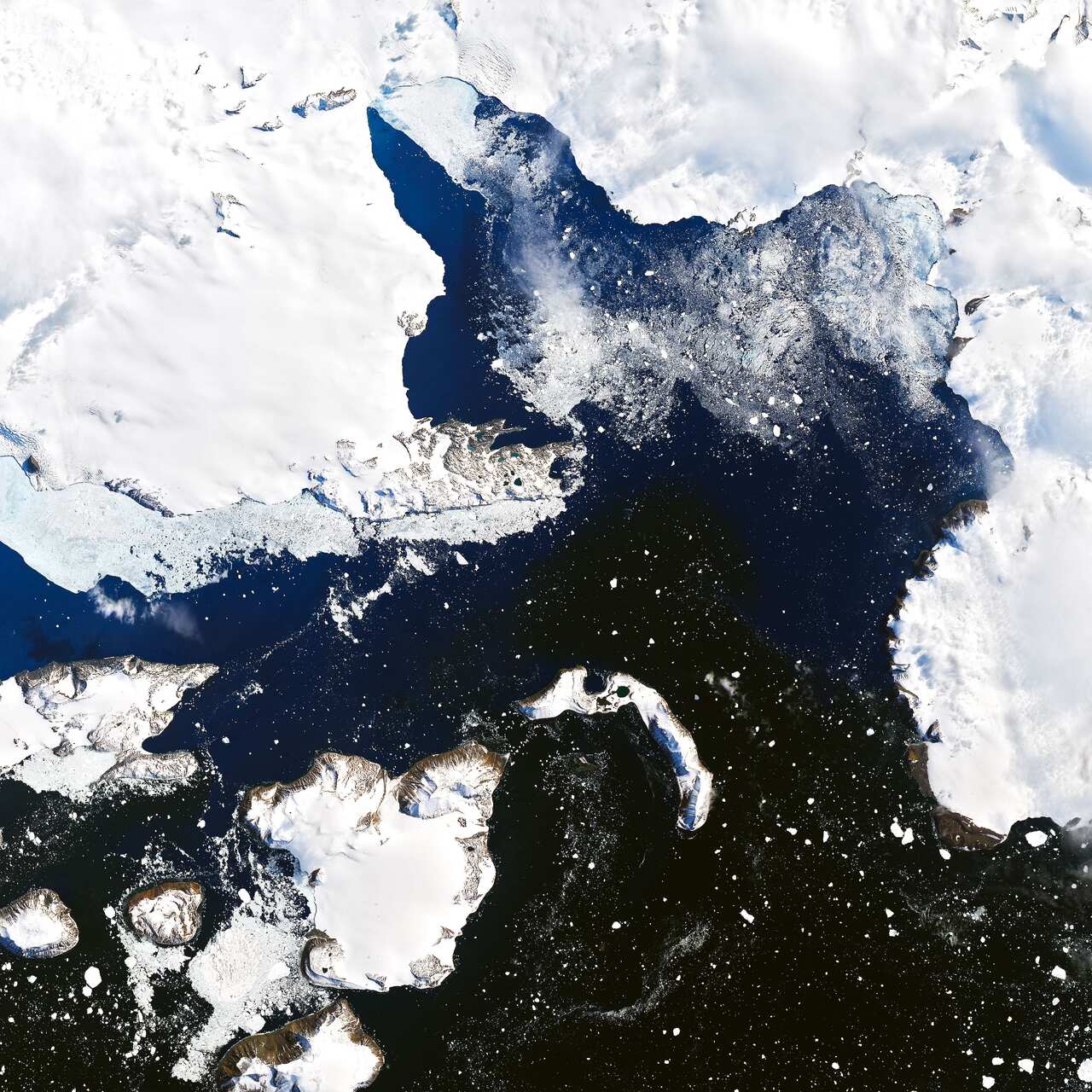 A satellite image of Eagle Island in Antarctica, taken 4 February. 