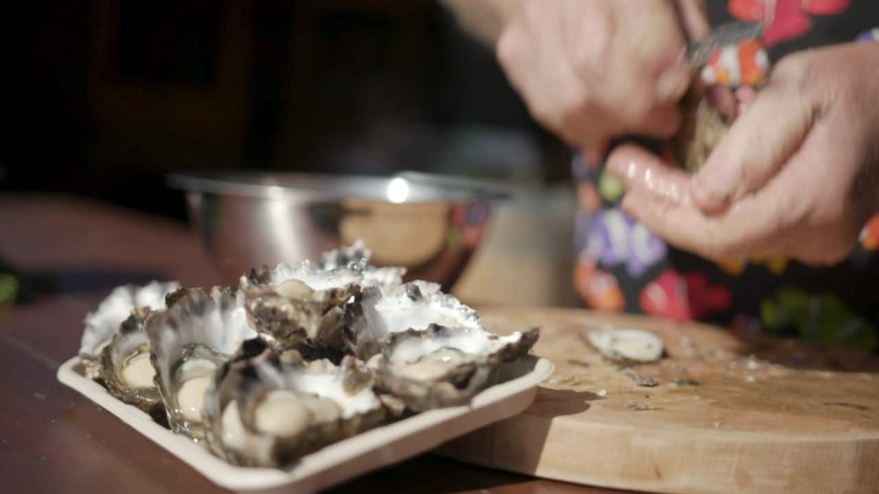 Oysters being prepared