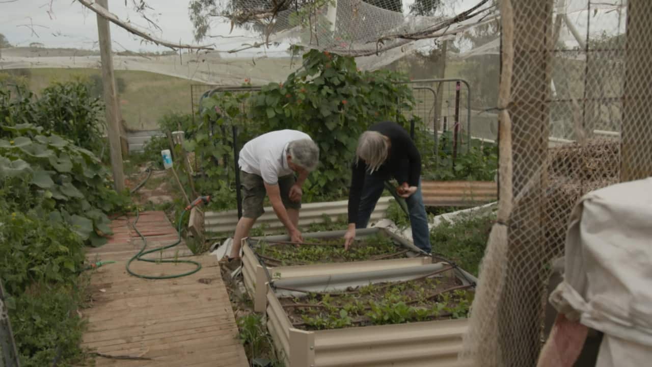 eldery couple garden