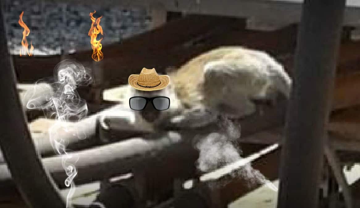 An obviously edited version of the monkey's image shows it surrounded by smoke and flames, wearing a hat an sunglasses.