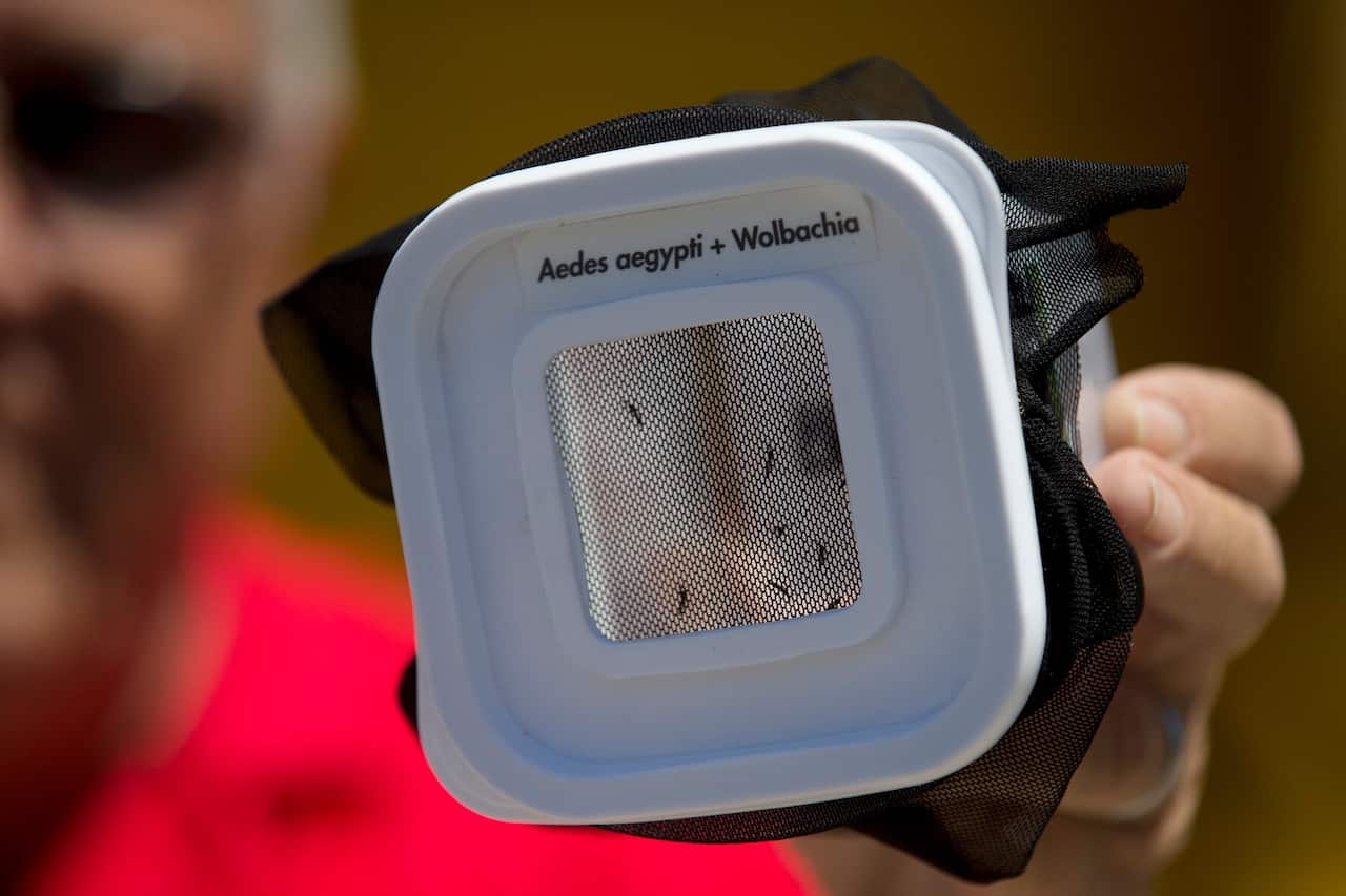 Malaria alone kills more than 400,000 people each year, according to the World Health Organization.