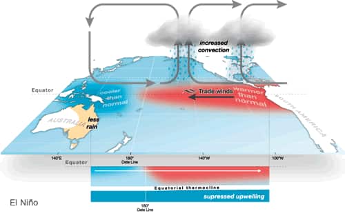 A diagra showing how El Niño patterns are formed.