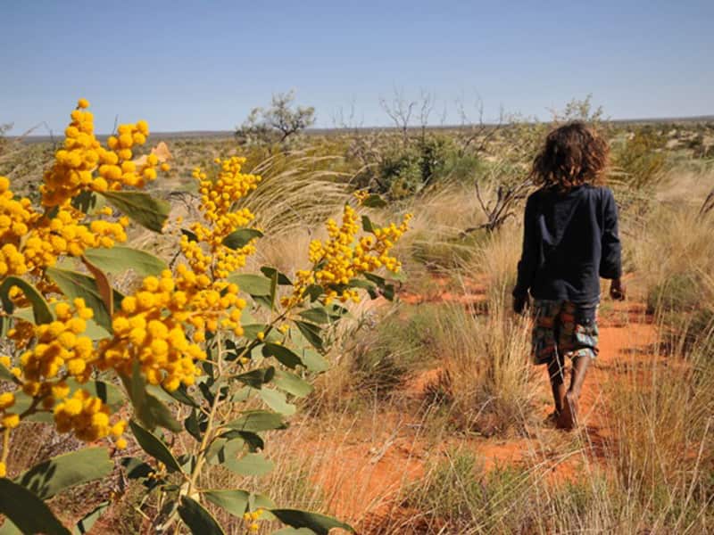aboriginal child