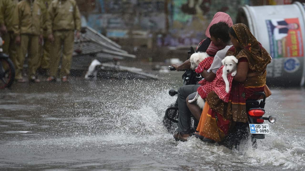 A couple carries their pets after the onset of Cyclone Fani on May 3, 2019 in Puri, India. 