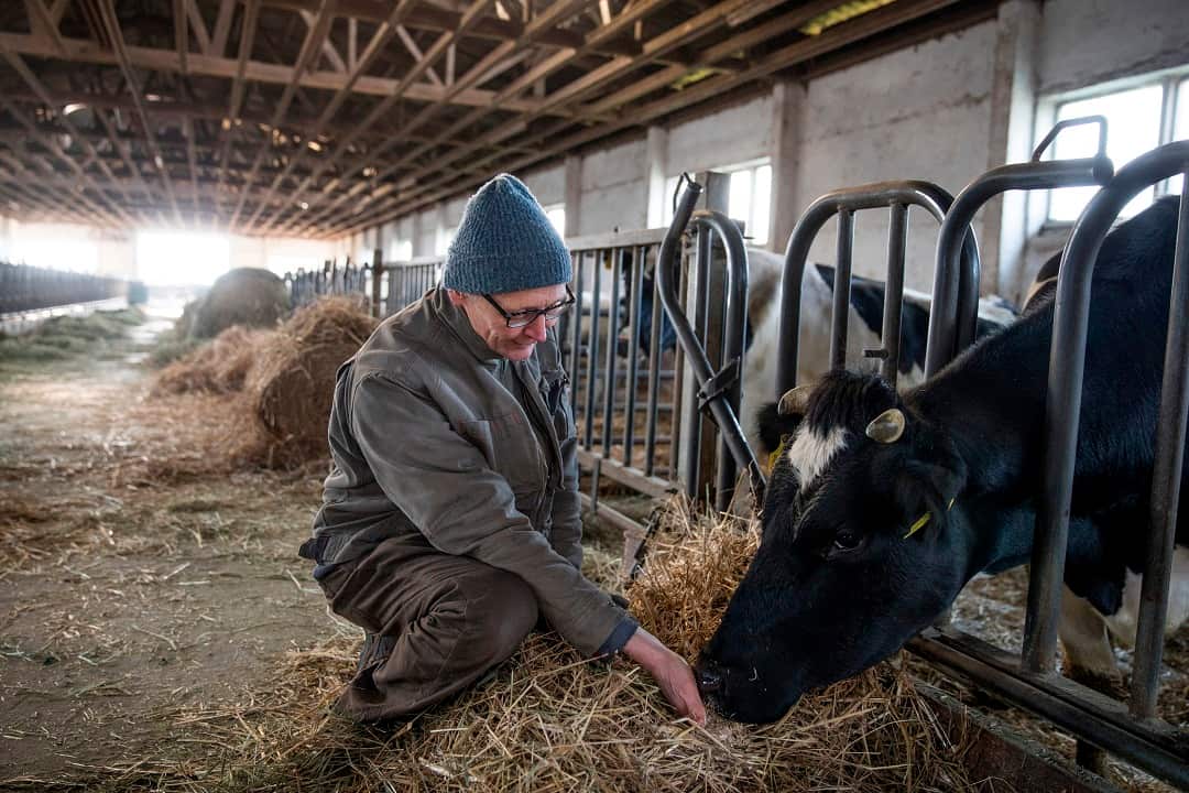 Farmer Heiner Luetke Schwienhorst says it's important to make politicians accountable.