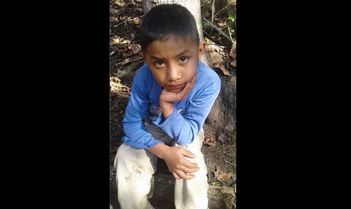 Felipe Gomez Alonzo, 8, died in US custody at a New Mexico hospital on Christmas Eve after suffering a cough, vomiting and fever, authorities said.