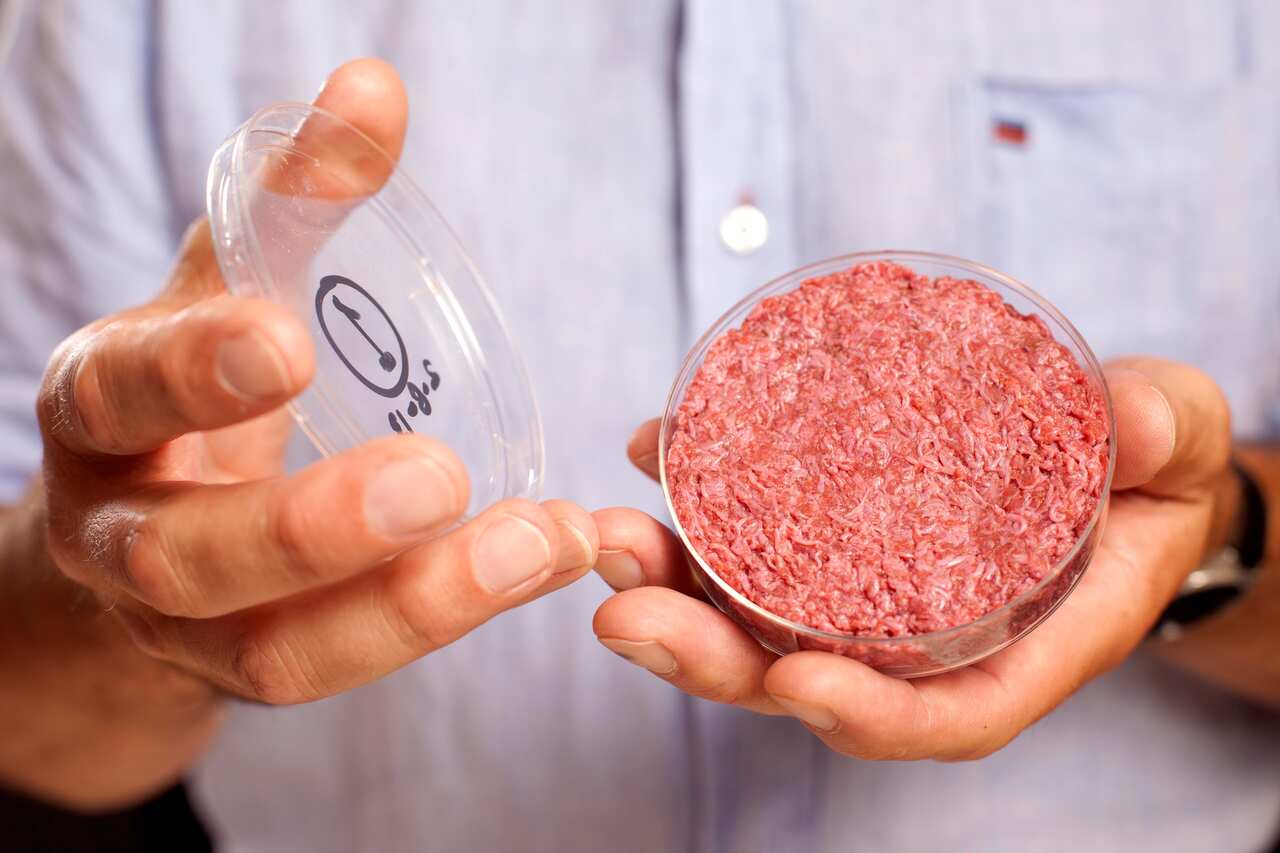 A burger made from Cultured Beef, which has been developed by Professor Mark Post of Maastricht University in the Netherlands.  